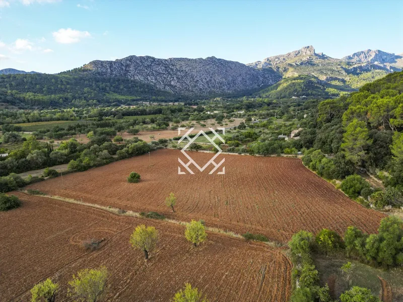 Historic country house for sale in Vall d'en March Pollensa, Mallorca — photo 8