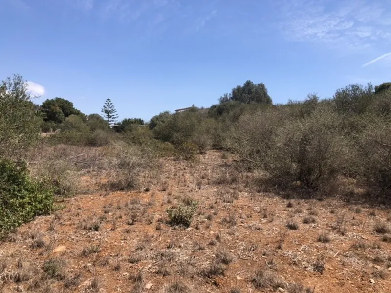 Large plot of about 820m2 on a quiet street in Cala LLombards — photo 1