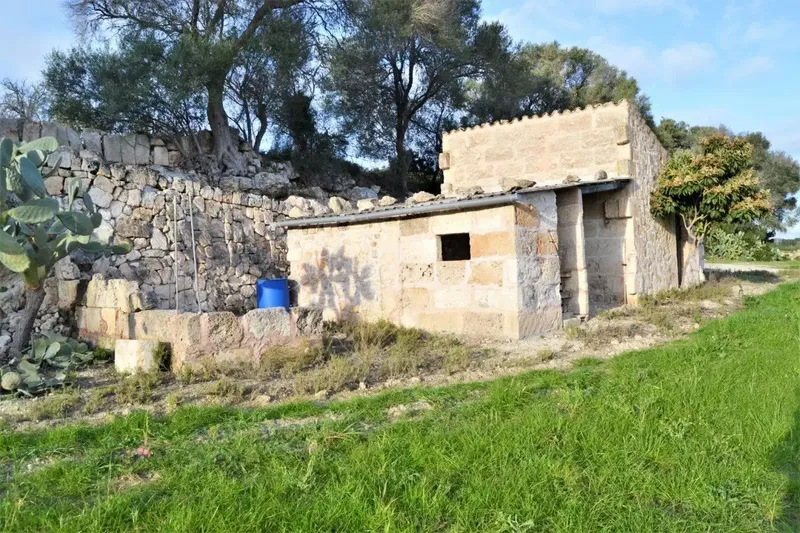 Set of three rustic plots on common rustic land, agricultural interest area of 22547 m2 located in one of the most beautiful areas of — photo 5