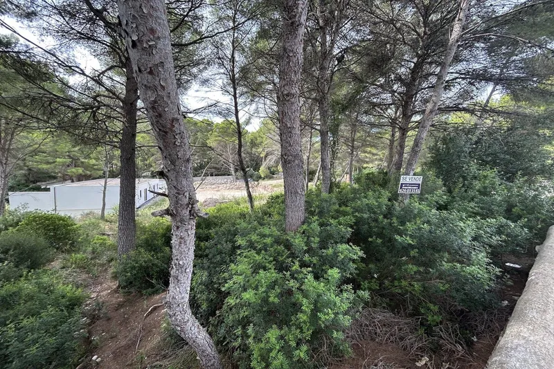 S6 - Plot for sale in Font de Sa — photo 6