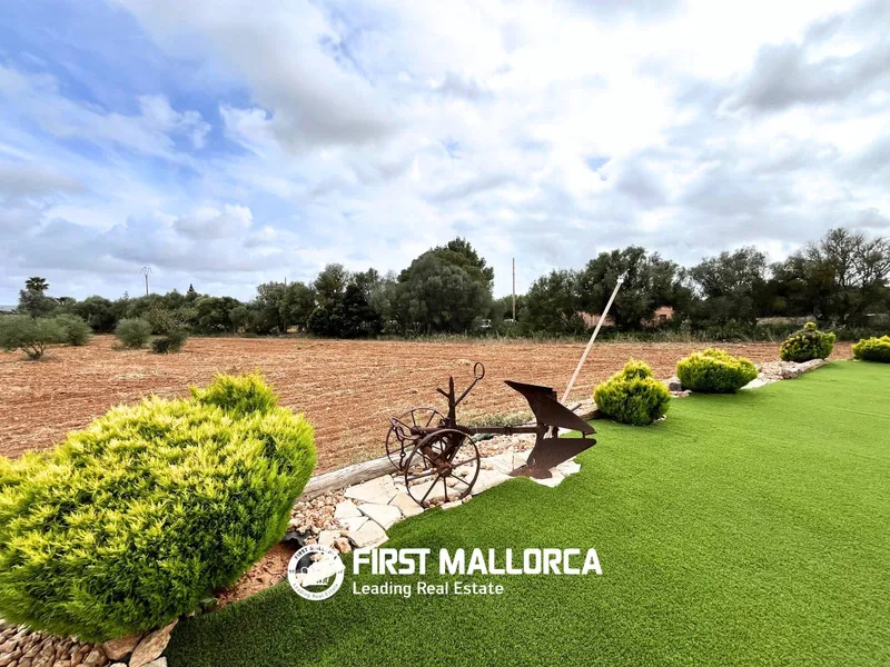 Finca/Country House for rent in Campos — photo 1