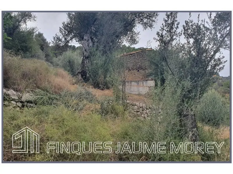 Discover your perfect refuge in nature! This charming rustic mountain property, located at the foot of the majestic Tramuntana mountain range — photo 9