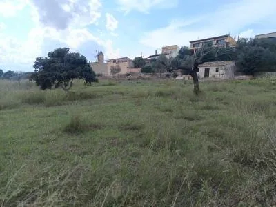 Rustic property - Sineu, Built Surface 30m², Plot Surface 2600m², All Exterior — photo 10