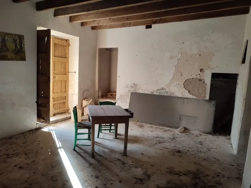Rustic estate for sale in the municipality of Petra, Son Maimo area, known as Son Metlet — photo 5