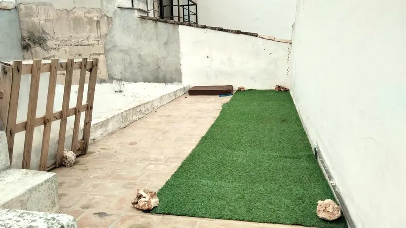 Cozy house in the old town of Portocolom with high ceiling, patio and terrace. It has 3 bedrooms all with windows, living-dining room — photo 7