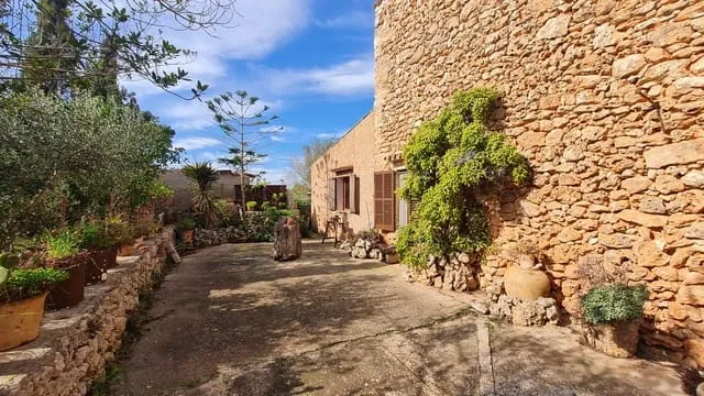 Finca/Country House for sale in Algaida — photo 11