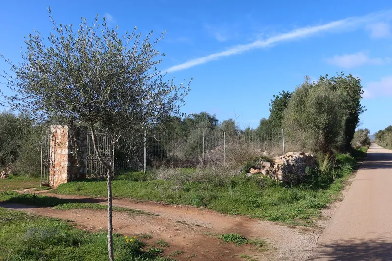 Buildable plot with great privacy in Campos – 14,625 m² — photo 3