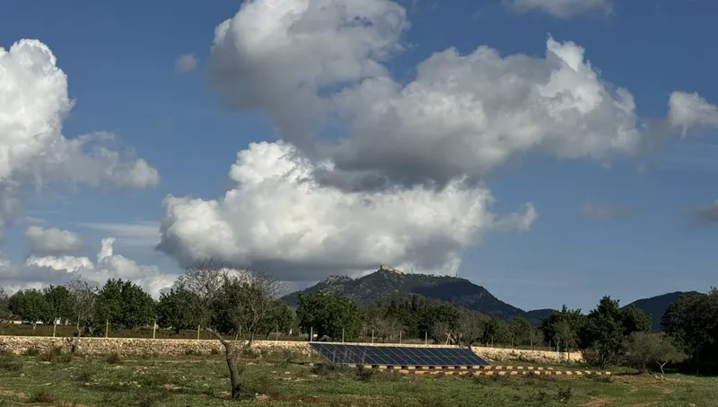Rustic finca in Cas Concos — photo 12