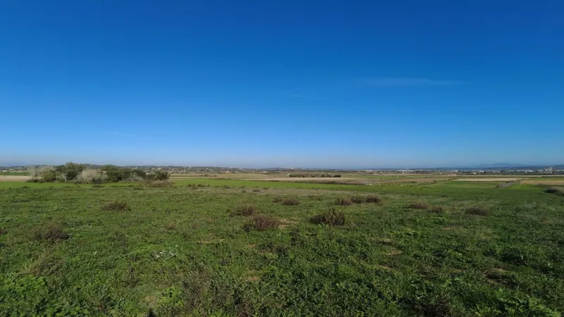 Beautiful plot in Petra with beautiful panoramic views of the Tramuntana mountains — photo 2