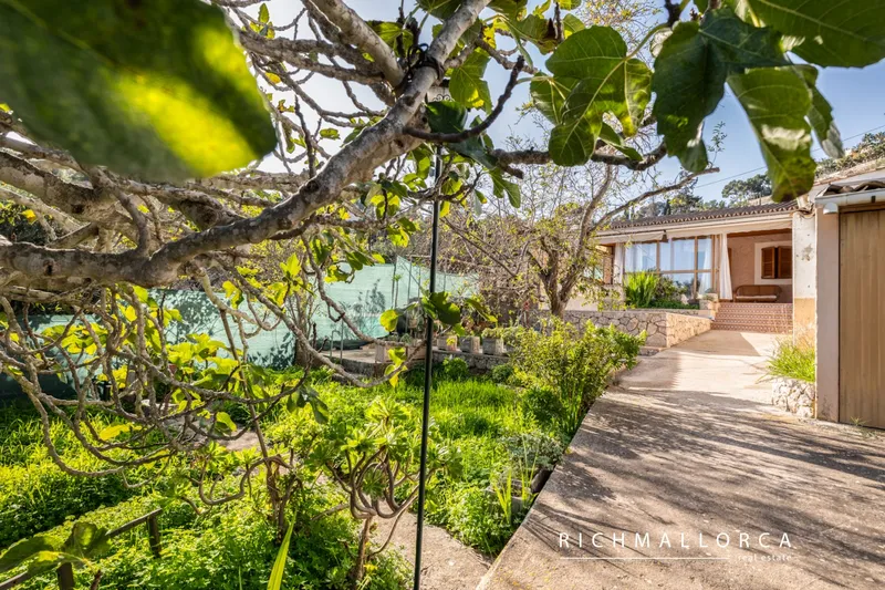 Urban Plot with Dual Access in Palma’s Coveted Génova Area — photo 6