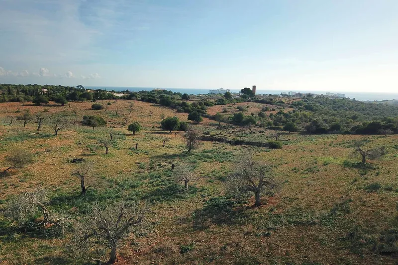 V582 – Renovation-required finca with sea views near Cala Murada — photo 8