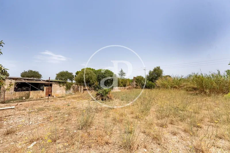 Land in Binissalem, Province of Balearic Islands — photo 6
