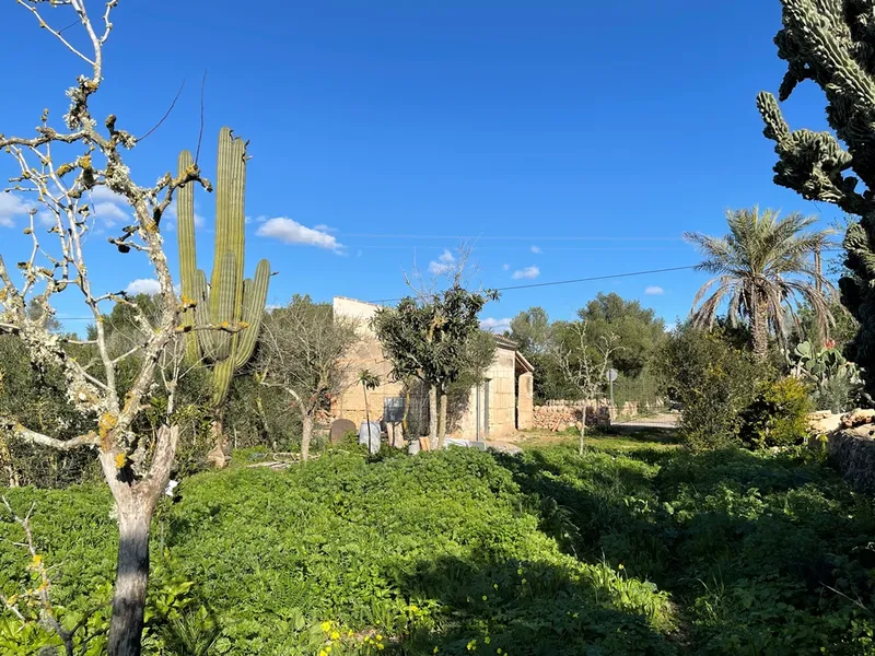 Small rustic finca with land of 20,000 m² for sale with project for a detached house of 225 m² — photo 2
