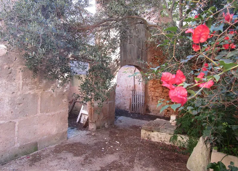 Commercial Premises in Santanyi — photo 10