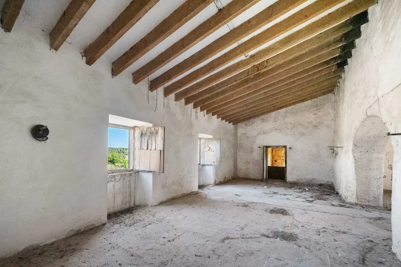 Old Finca in Campos - Investment Opportunity — photo 11