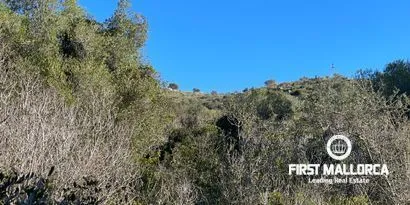 Real estate picture 0 Ref. No. 80924 — photo 7
