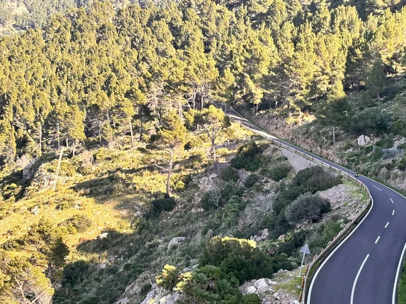 Rustic Plot in Son Fortuny – Estellencs, in the Heart of the Serra de Tramuntana — photo 4