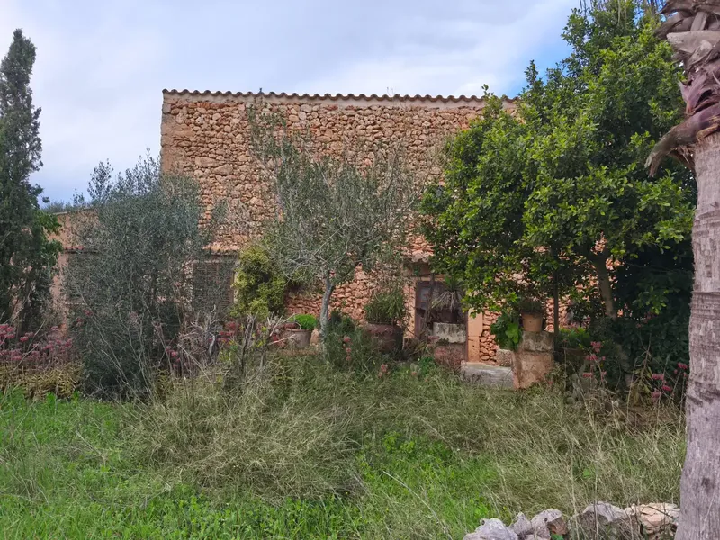 Discover this charming agricultural estate of four cuarteradas, located in a privileged setting with stunning views of the Tramuntana — photo 12