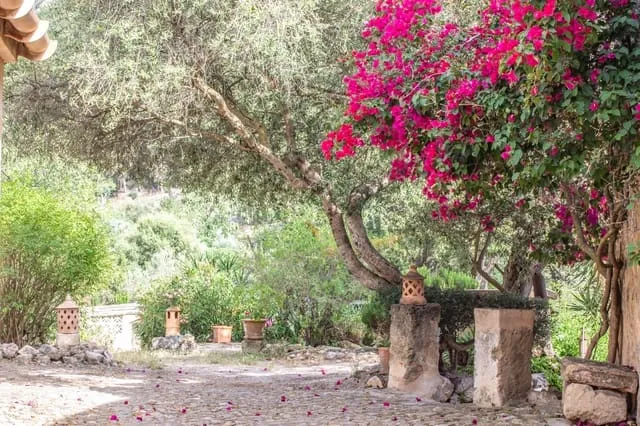 Finca/Country House for sale in Andratx, Mallorca — photo 3