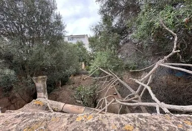 Plot in Muro — photo 5