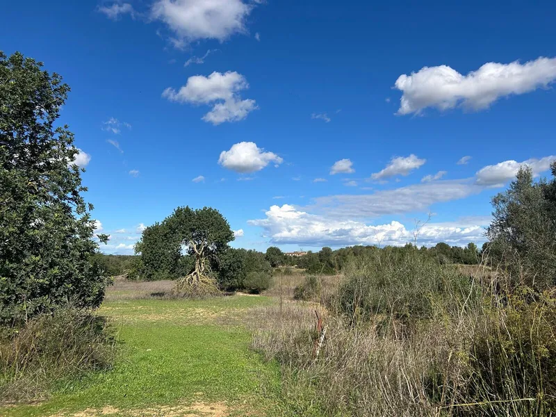 Plot in a charming location, Campos – Son Mesquida — photo 1