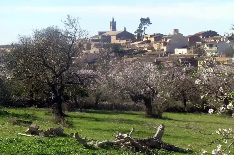 This ancient and majestic estate is located in the center of the tranquil and idyllic countryside of Mallorca, situated on an immense plot of 415.0 — photo 11