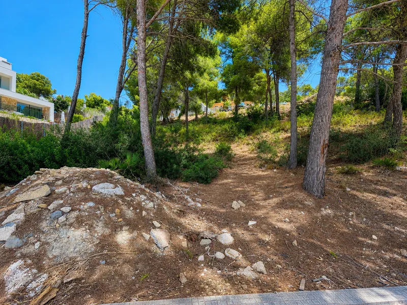 Plot with high investment potential in the prestigious area of Camp de Mar Mas — photo 2