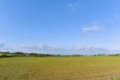 Building land with project near Rafa Nadal academy in Manacor — photo 1