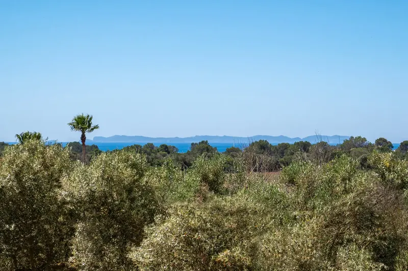 Spacious newly built finca with guest area in private location — photo 8