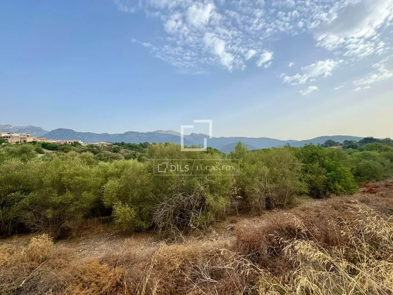 997m² plot with 997m² garden for sale in Campanet — photo 2
