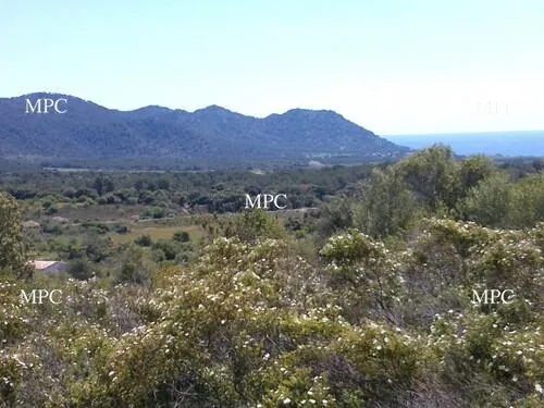 Large Countryside Plot with Building Licence for an Exclusive 6-Bedroom Country Estate with Private Pool and Sea Views in Son Servera — photo 1