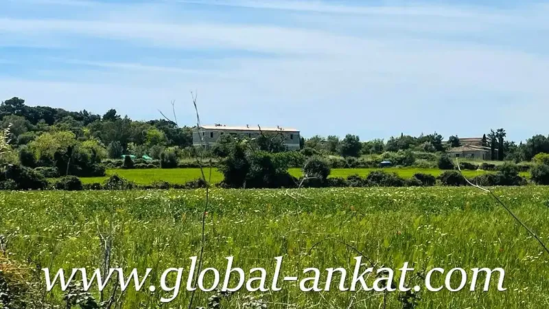 Rustic finca to be built, located in the area of Es Pujol de Son Prohens. It has a plot of about 17,265 m2 fully — photo 6