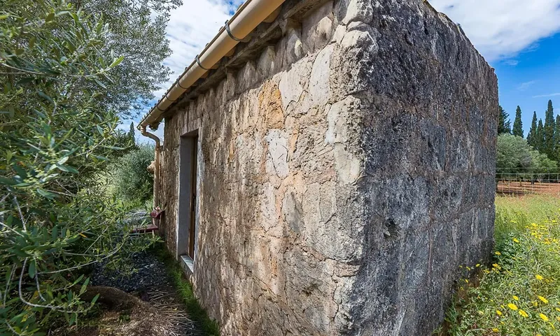 Rustic finca in Santa Maria del Camí — photo 2