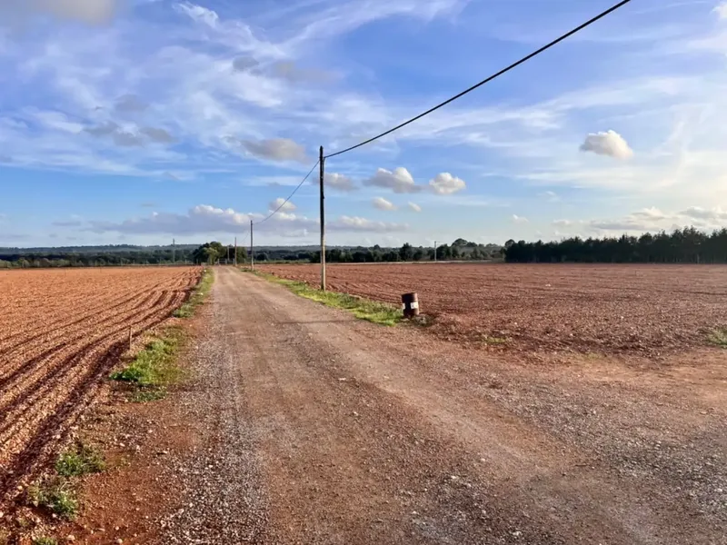 Rustic estate for sale, between Llubí and Muro, about 39,000 m2 of land, with several constructions, a large safareig, an agricultural warehouse and — photo 3