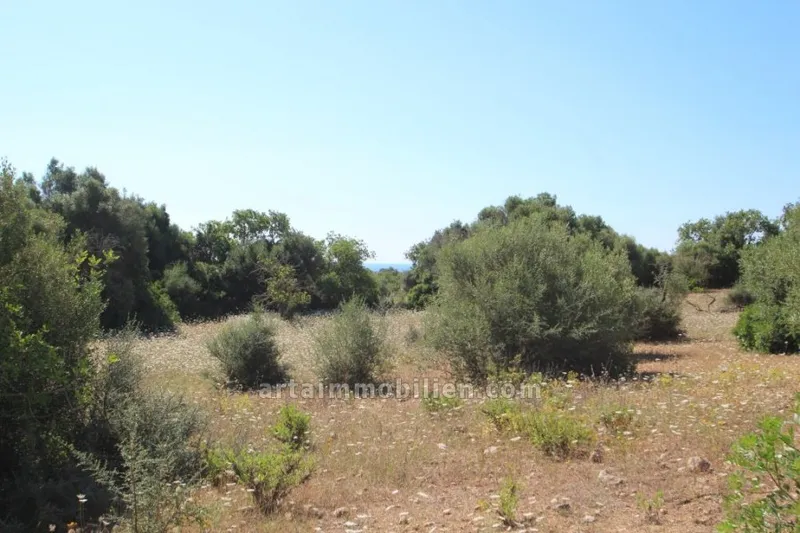 Plot in Son Carrió — photo 1