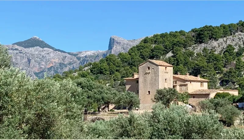 Agrotourism in the Tramuntana — photo 2