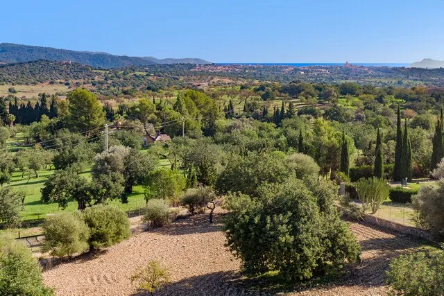 Country plot for sale ideal for building a family home in Moscari, Mallorca — photo 5