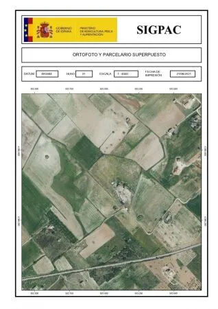 Rural land - Sant Joan (Afueras), plot surface 18829 m2 — photo 1