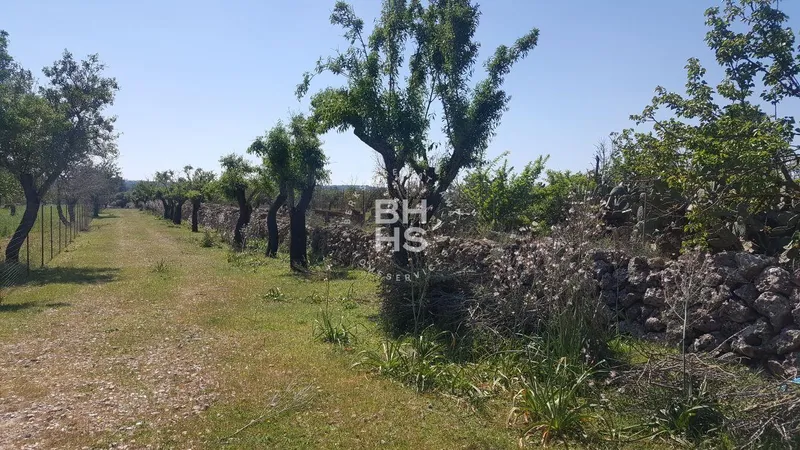 Rustic Finca for sale in María de la Salut — photo 10