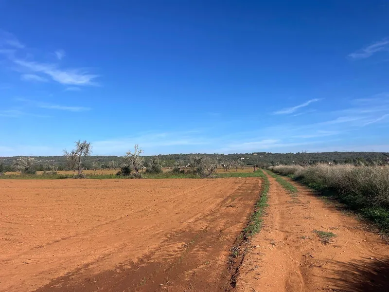 Nice building plot with views of Randaberg, Campos — photo 3