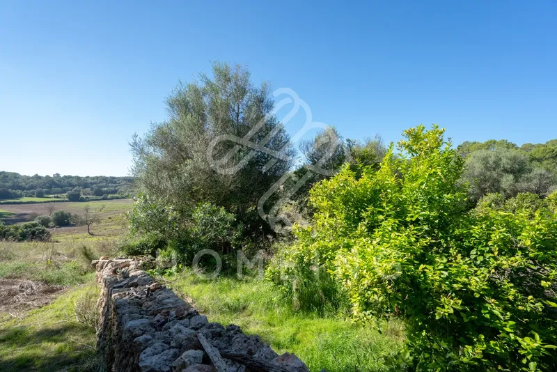 Rustic estate of 252,000 m2 from 1800, with house to renovate. — photo 7