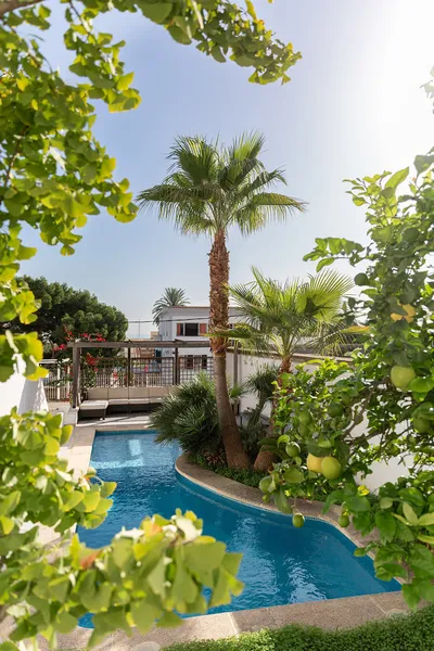 Elegant Townhouse with Sea Views in El Terreno with Roof Terrace, Private Pool and Home Cinema — photo 3