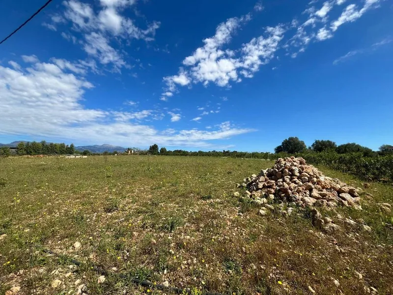 Land in Sencelles, Province of Balearic Islands — photo 12