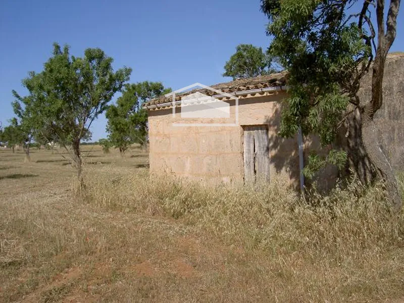 Rustic plot with urban planning certificate next to Es Trenc with hut to renovate — photo 2