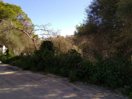 Building Site - Santanyí (Cala Llombards), Built Surface 200m², Plot Surface 680m² — photo 5