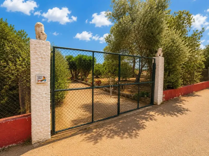 Rustic finca with small house and large plot in Santa Eugènia — photo 2