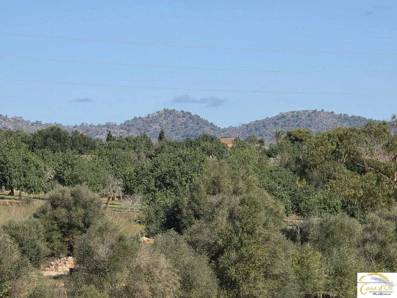 Beautiful building plot with panoramic views and innovative finca project near Porto Cristo — photo 4