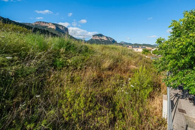 Multi-family plot for sale on the outskirts of Alaró town, Central Mallorca — photo 8