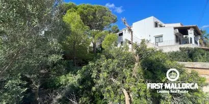 Real estate picture 0 Ref. No. 80368 — photo 4