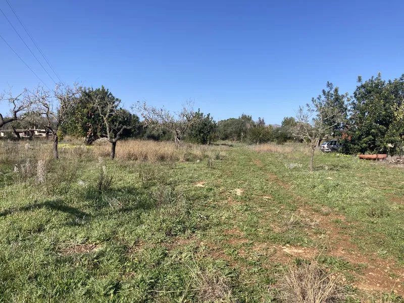 Beautiful piece of land with valid building license in Pollensa countryside — photo 3